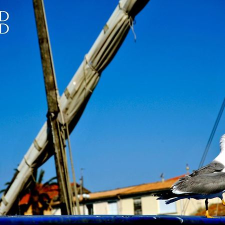 Le Soleil Couchant Studio Vue Mer Ле-Гро-дю-Руа Экстерьер фото